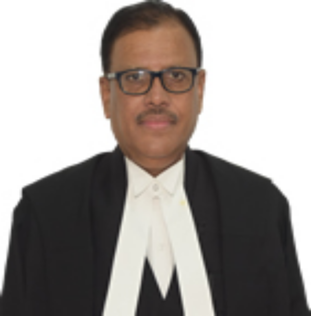 Hon'ble Mr. Justice S.R Bannurmath